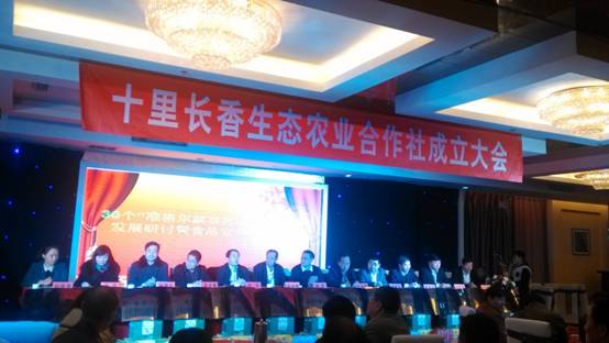 走過十里長川，拉開“十里長香”品牌的序幕