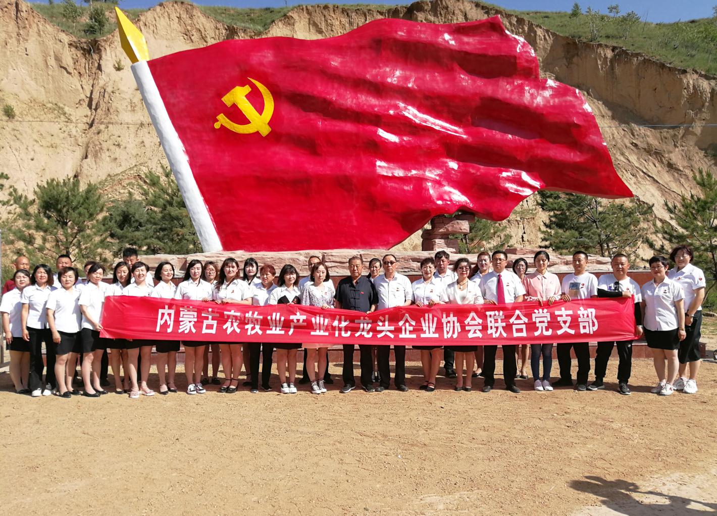 內(nèi)蒙古農(nóng)牧業(yè)產(chǎn)業(yè)化龍頭企業(yè)協(xié)會走進(jìn)石人灣村開展“辦實事、解難題，送溫暖，傳黨恩”公益活動